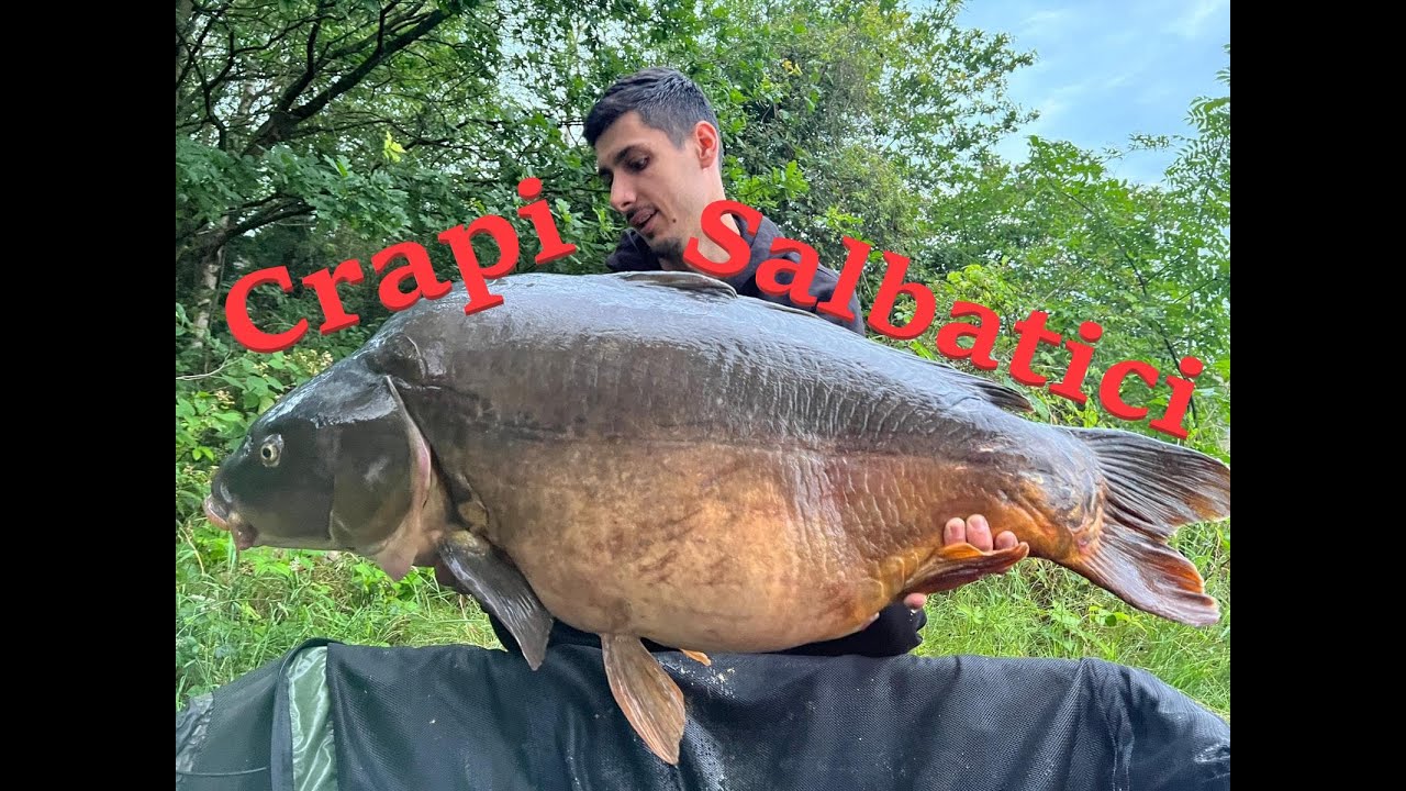 CRAP 21Kg - Cum Prind Crapi pe Canale Salbatice!?