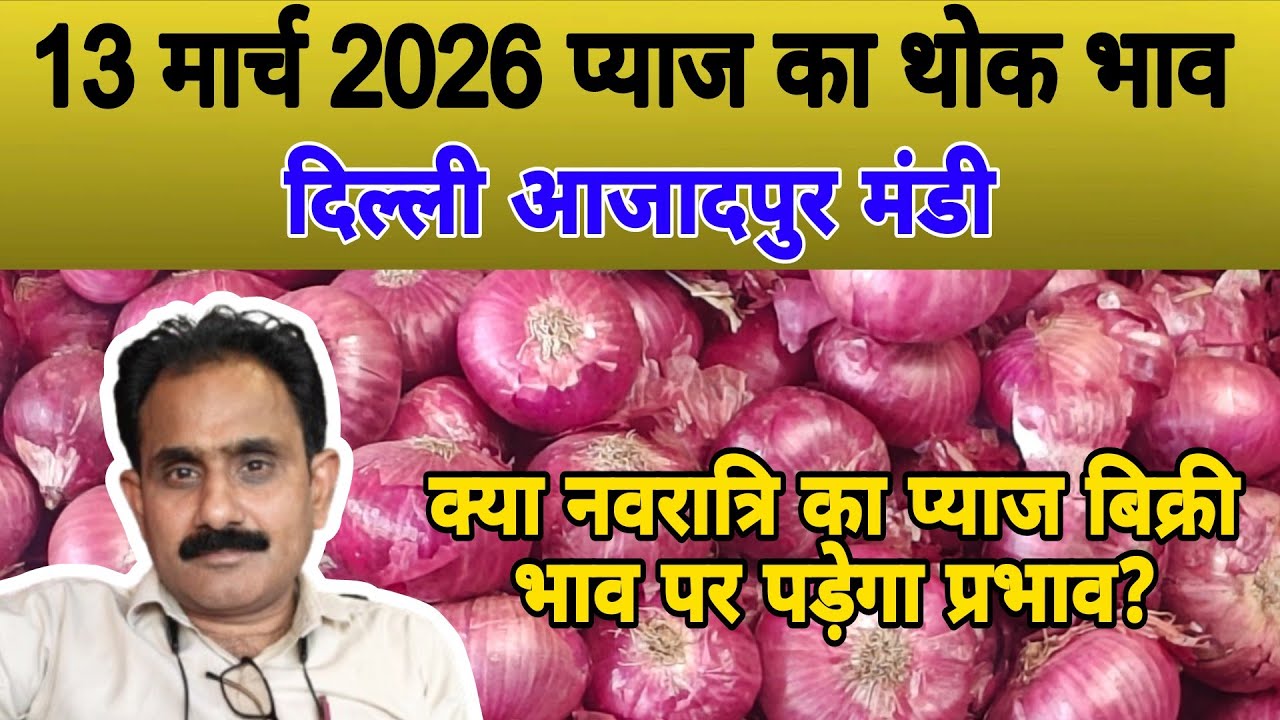 क्या नवरात्रि का प्याज बिक्री भाव पर पड़ेगा प्रभाव | Today onion price | pyaj ka bhav #pyaj #onion