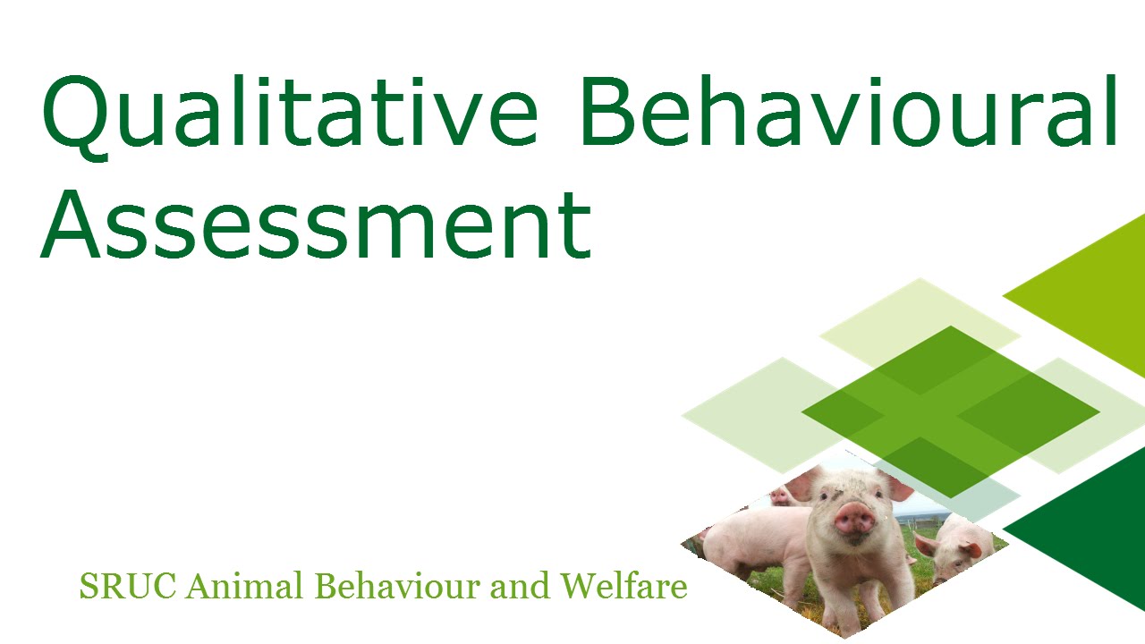 Qualitative Behavioural Assessment