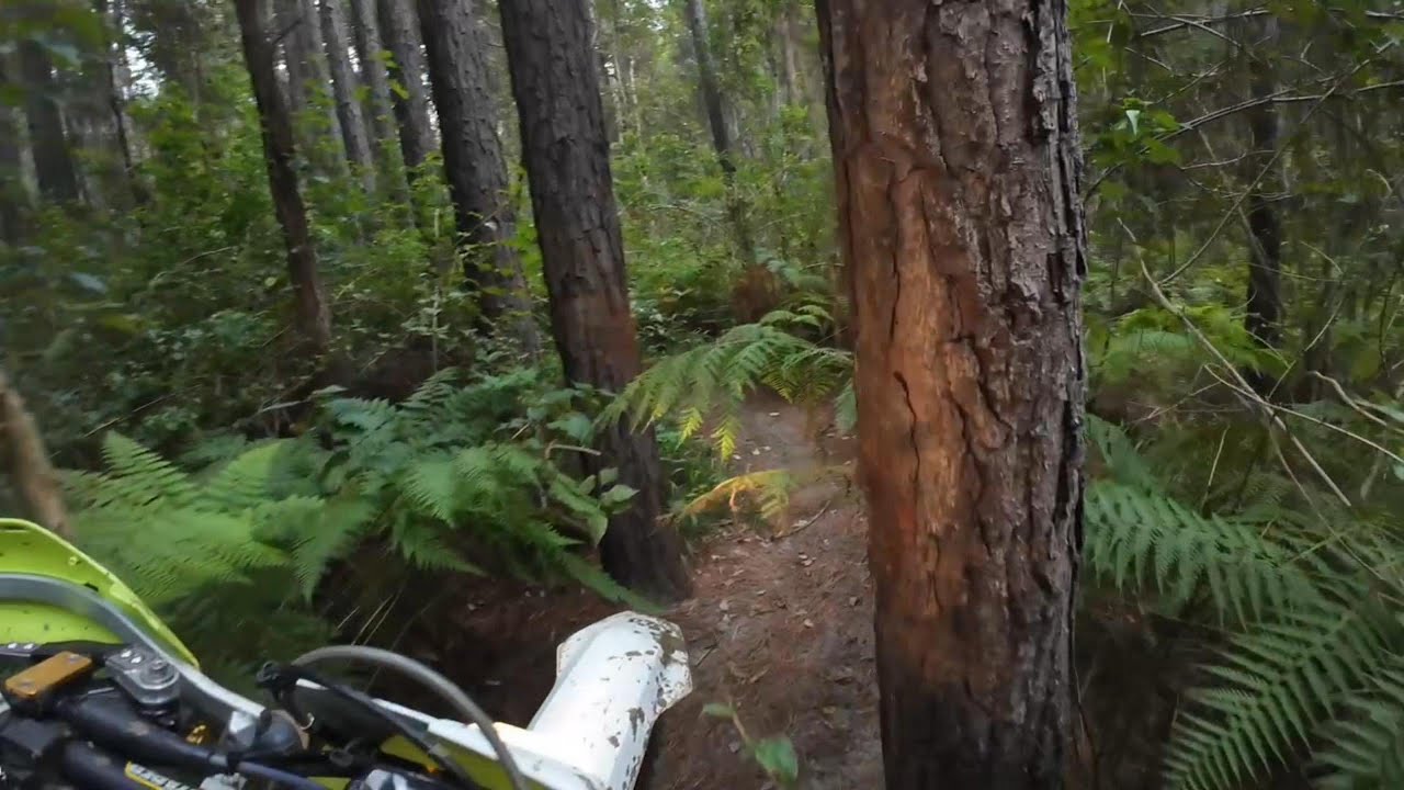 GLASSHOUSE MOUNTAINS RIDE | JASONS FAVOURITE SINGLE TRAIL