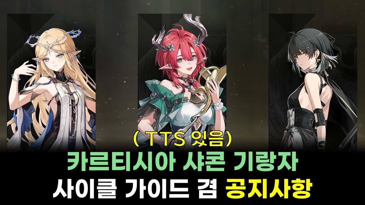 [명조: WuWa] 명전으로 매트릭스 11,000점 찍는 조합 | 카르티시아 샤콘 기랑자 반복 사이클 가이드