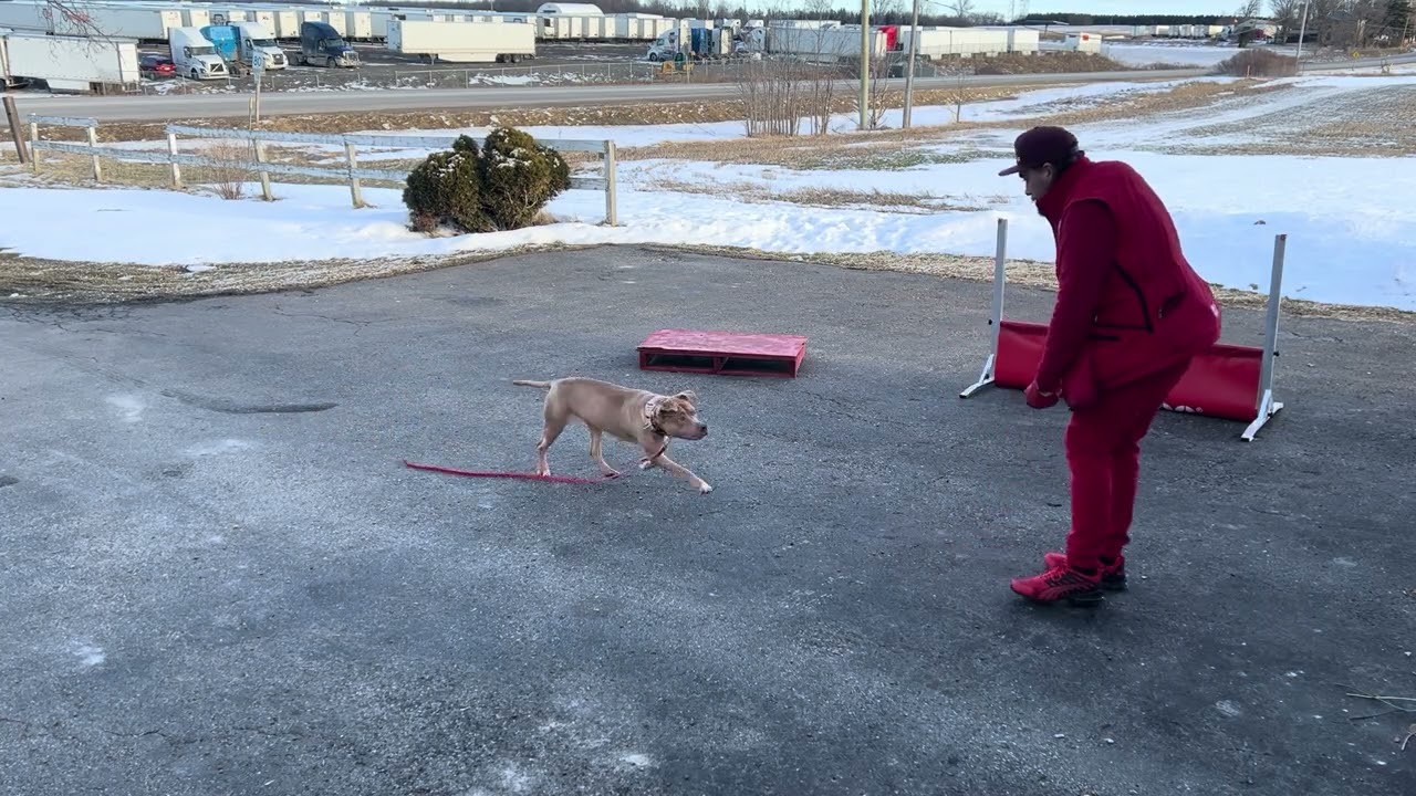 Peaches coming back out for another short session!