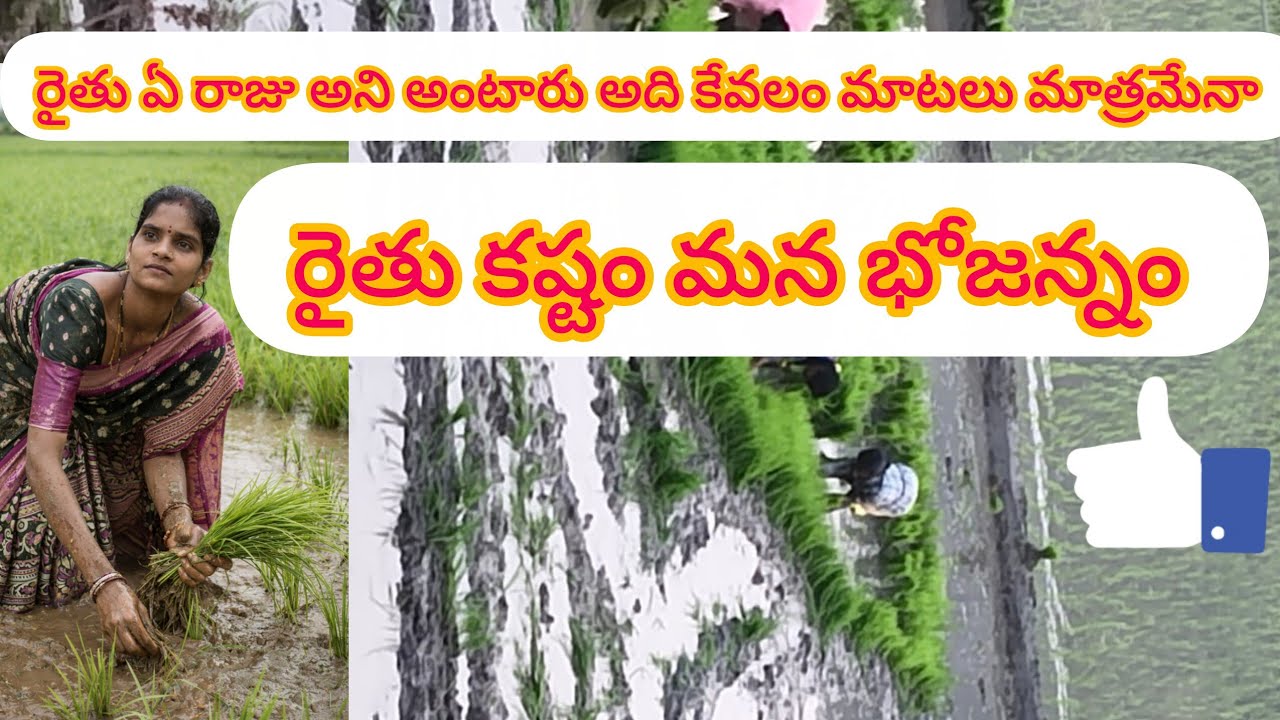 🌾🌾అన్నదాతను బతకనిద్దాం... 🥰 రైతుని గౌరవిద్దాం 🙏😭