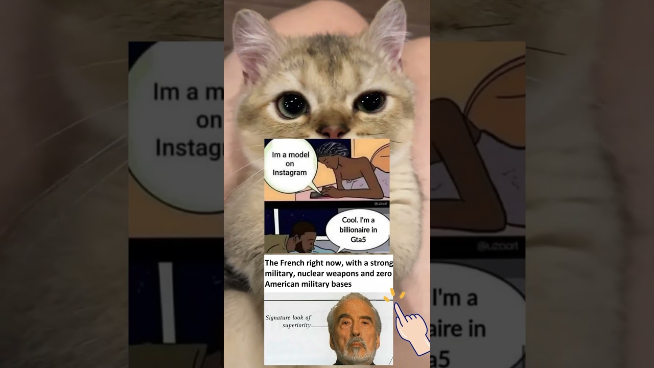 #AnimeMemes