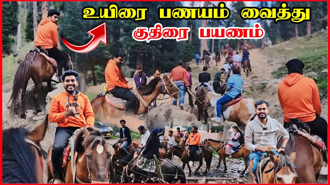 ‼️ ADVENTUROUS குதுரை சவாரி IN KASHMIR PAHALGAM VALLEY 🐎 - EPISODE 1