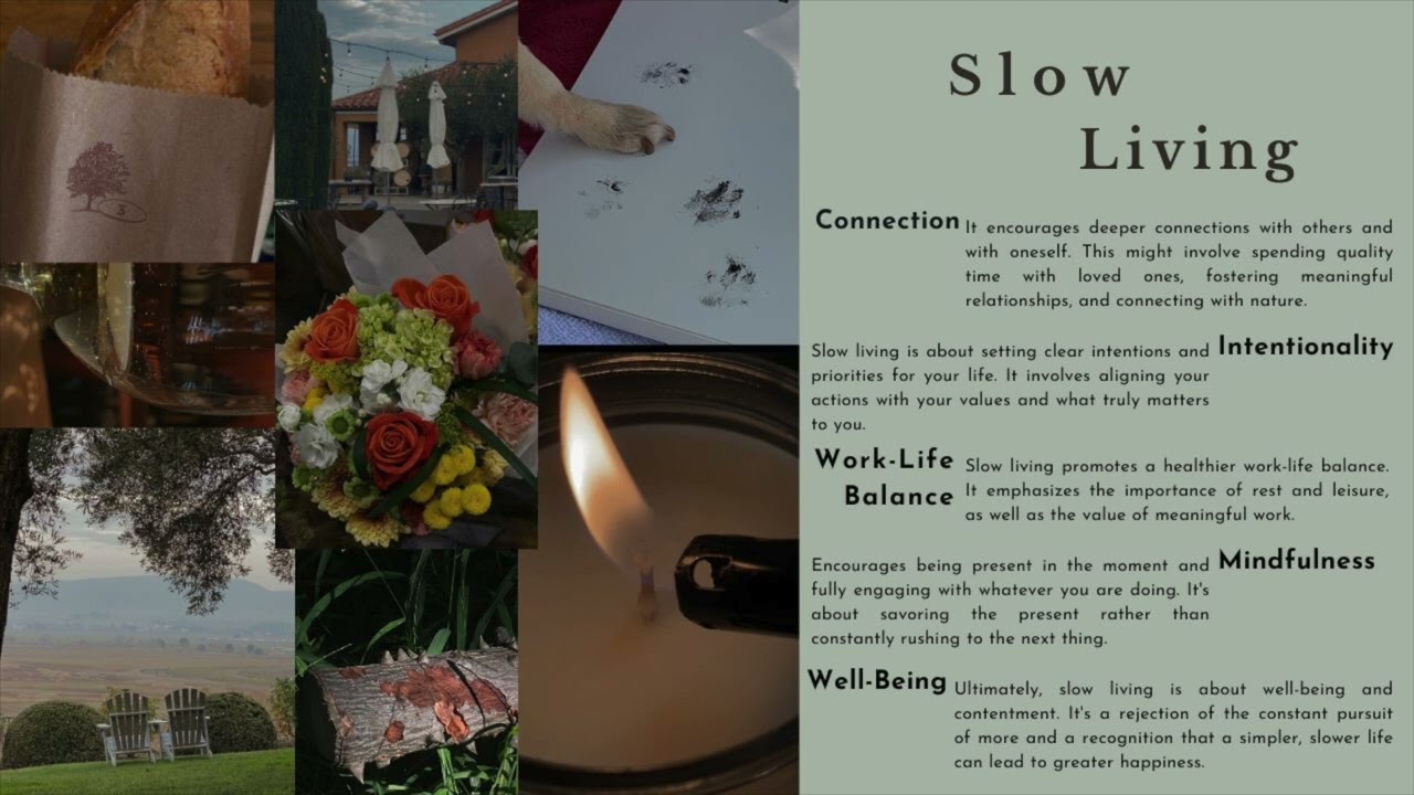 1 Hour Slow Living lofi 🌷 ☁️ 🌱 Study, Chill, Read, Productive