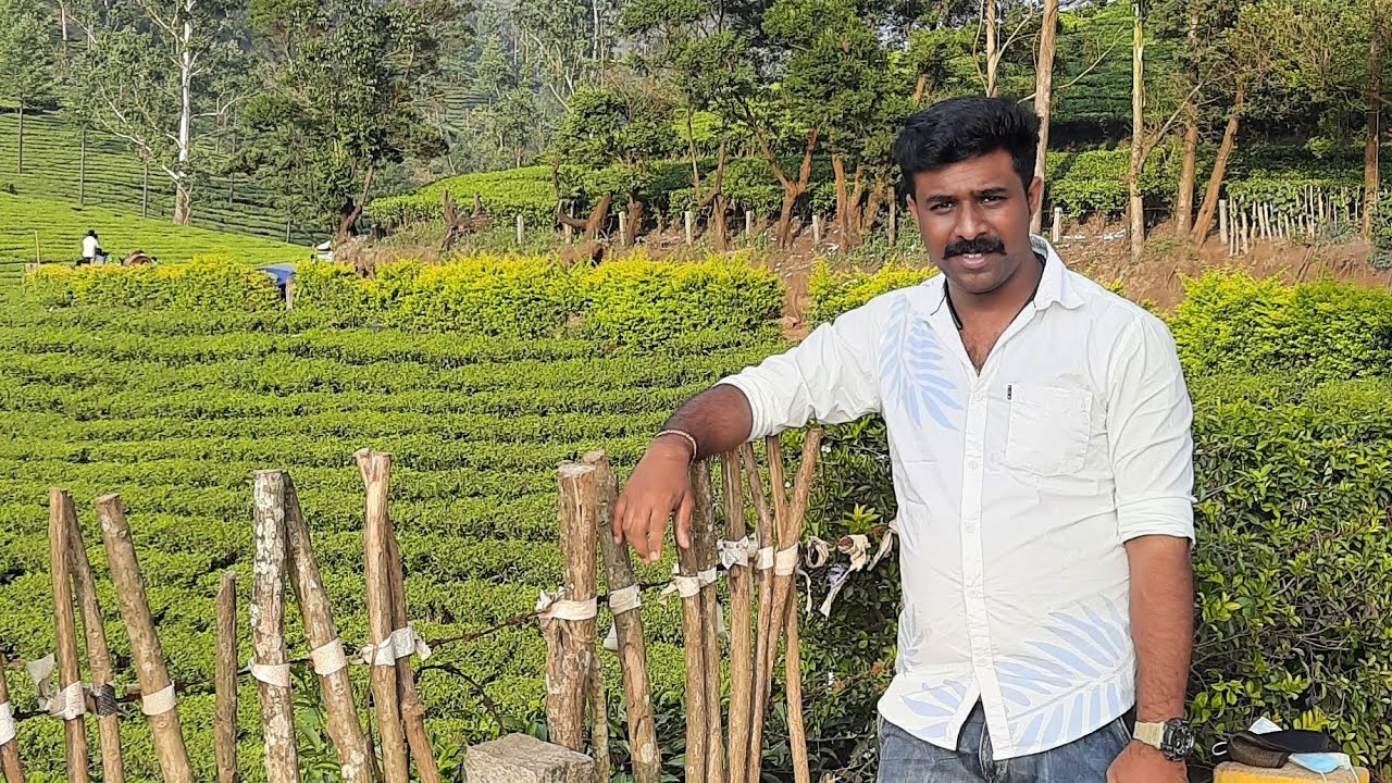 മൂന്നാറില്‍ ഒരു മൂന്നുദിവസം