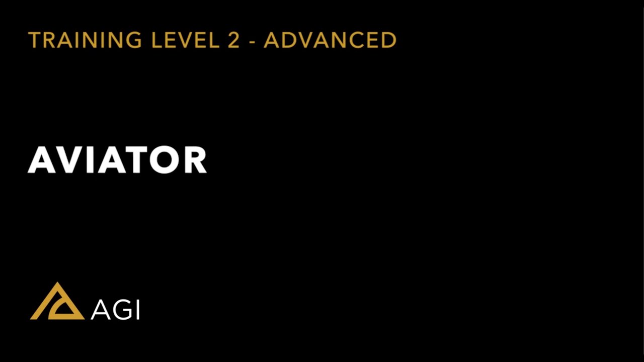 Lesson 17 Aviator