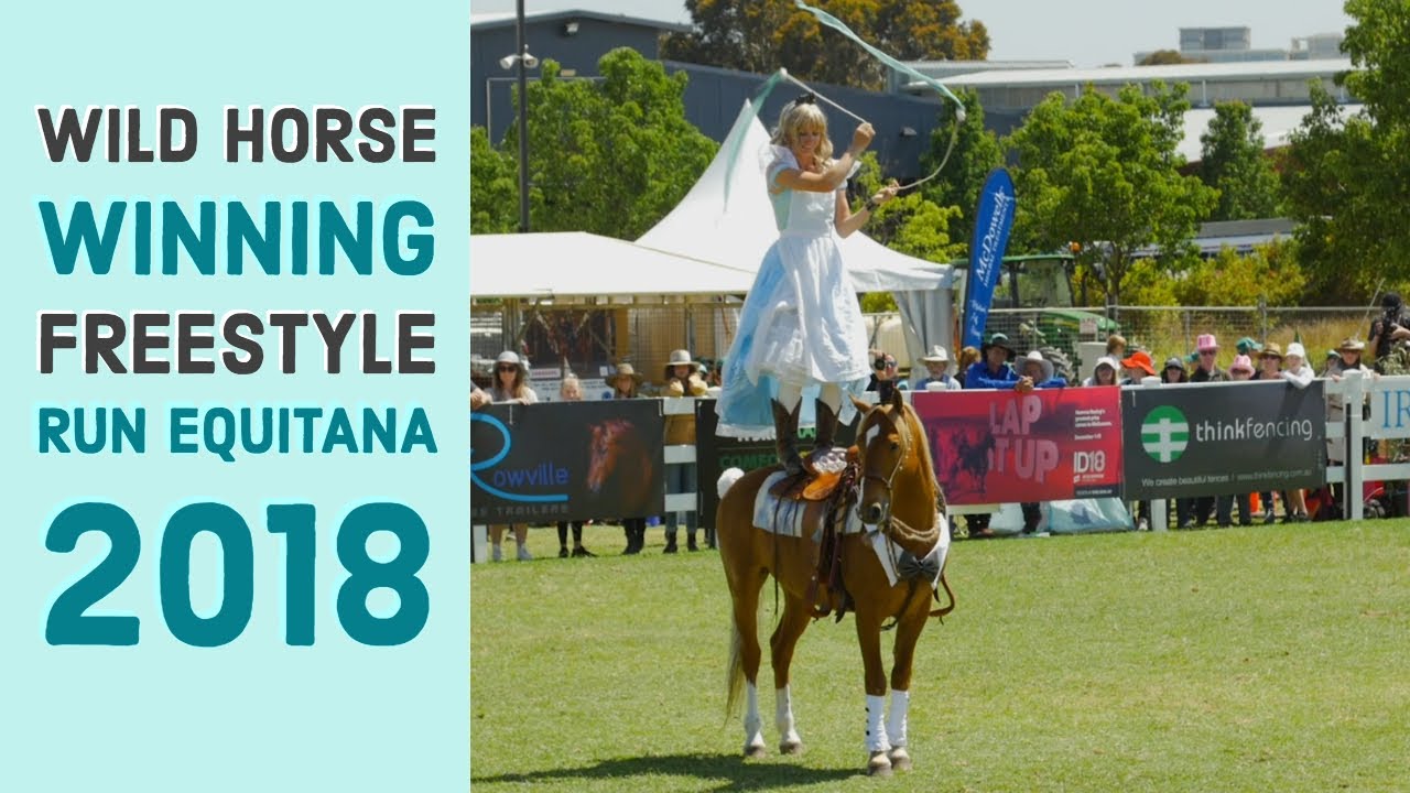 Day 150: WILD HORSE Winning Freestyle Run - EQUITANA 2018