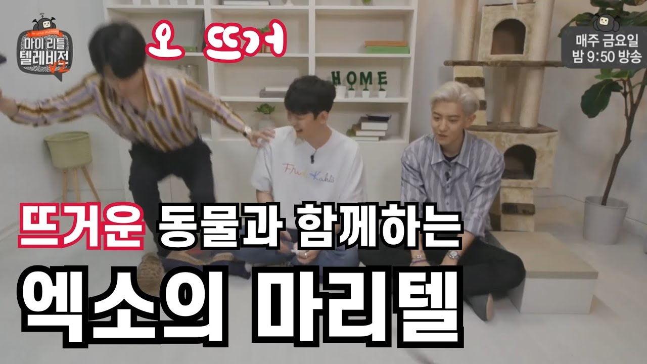 자꾸 뜨거운 엑소 세훈 (세훈&찬열)