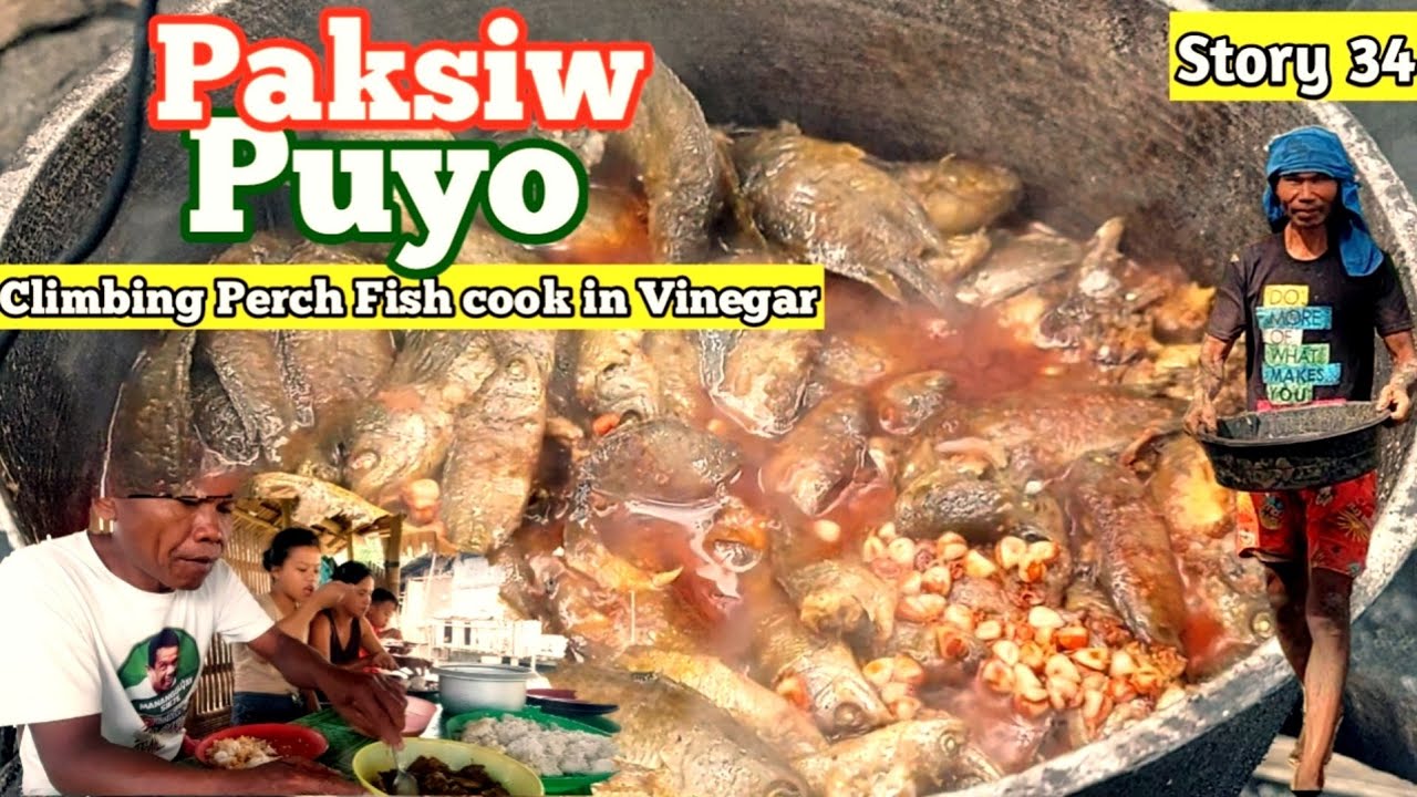 Paksiw na Puyo || Climbing Perch Fish Cook and Simmer in Vinegar || Life in Bukidnon Province