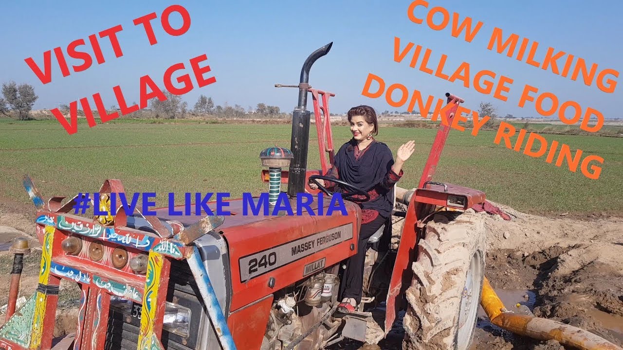 VISIT TO VILLAGE | COW MILKING | TRIP AROUND VILLAGE | VISIT TO VILLAGE VLOG | VILLAGE MARIA