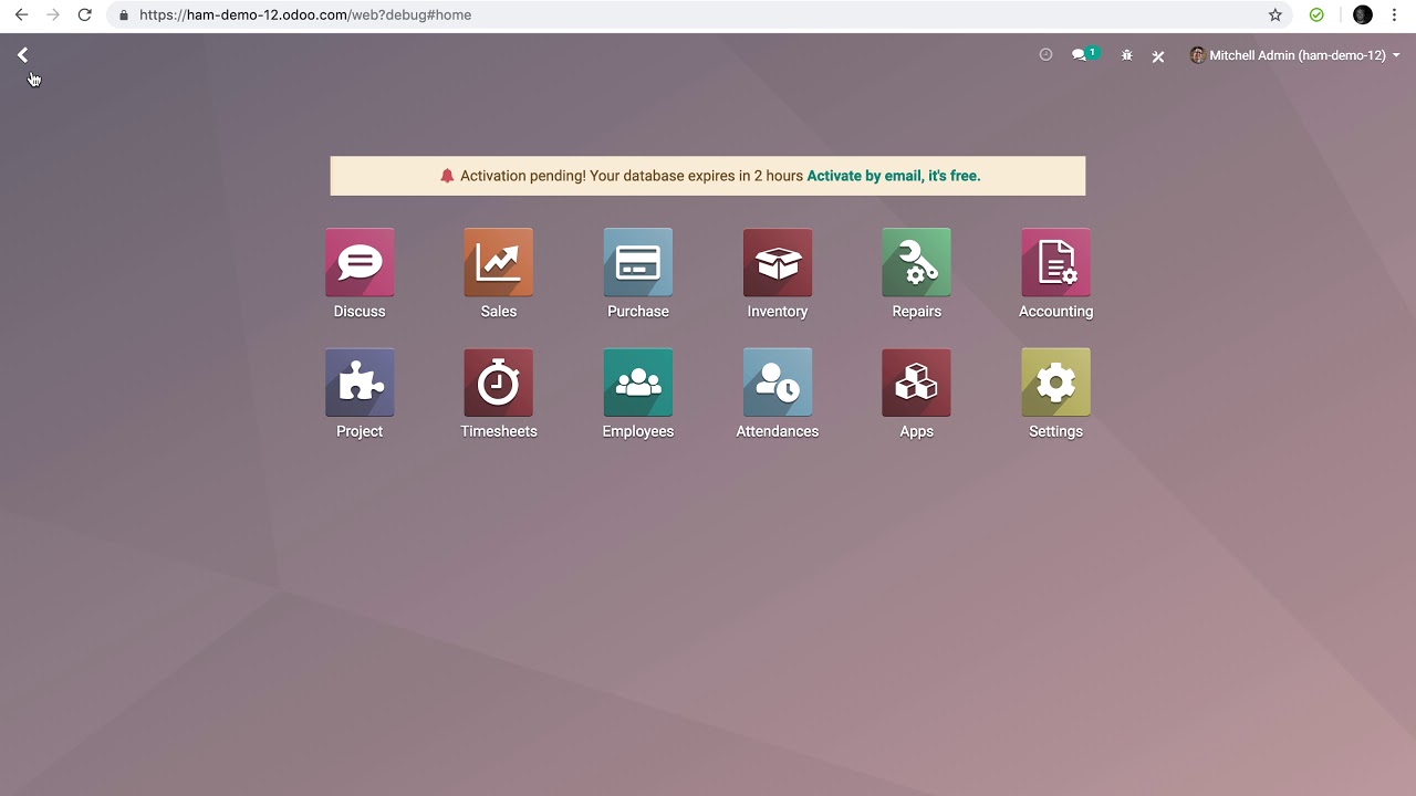 Odoo V12 - Backorder (when not enough stock)