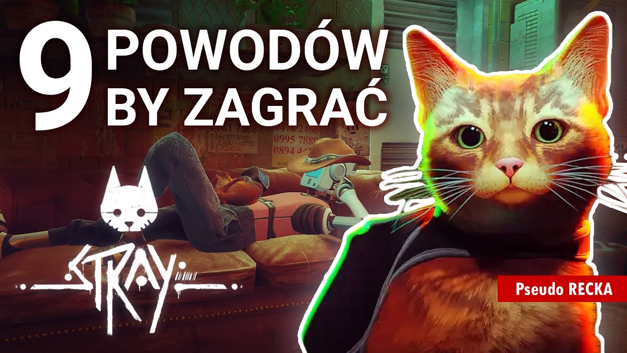 9 powod&oacute;w by zagrać w Stray (wersja PC) - Recenzja
