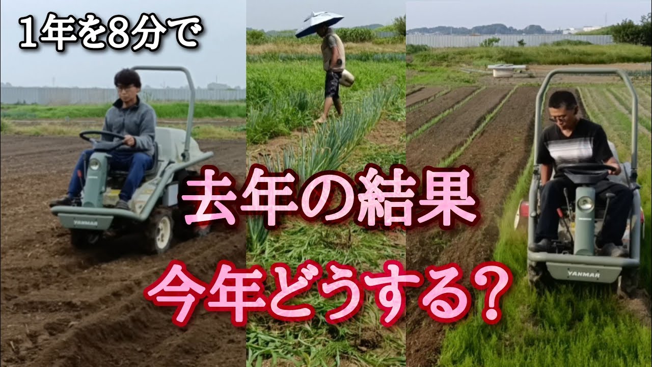 【タイムラプス】長ネギ＋メイン4品目の1年を振り返る｜今年の作付け計画