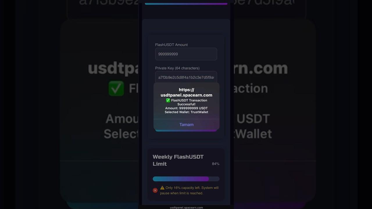 FlashUSDT Free Demo
