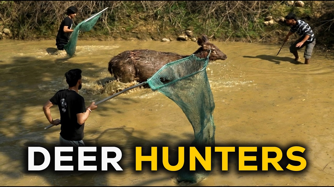 Wild animal ka rescue