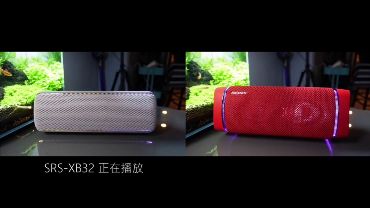 Sony SRS-XB32 and SRS-XB33 Comparison | True bass