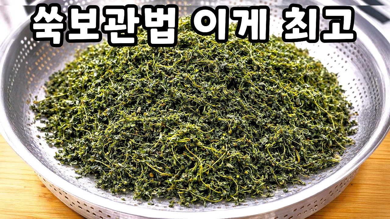 쑥 냉동실에 넣지 마세요! 이렇게 보관하면 1년 내내 보약입니다/최고의 쑥요리 2가지