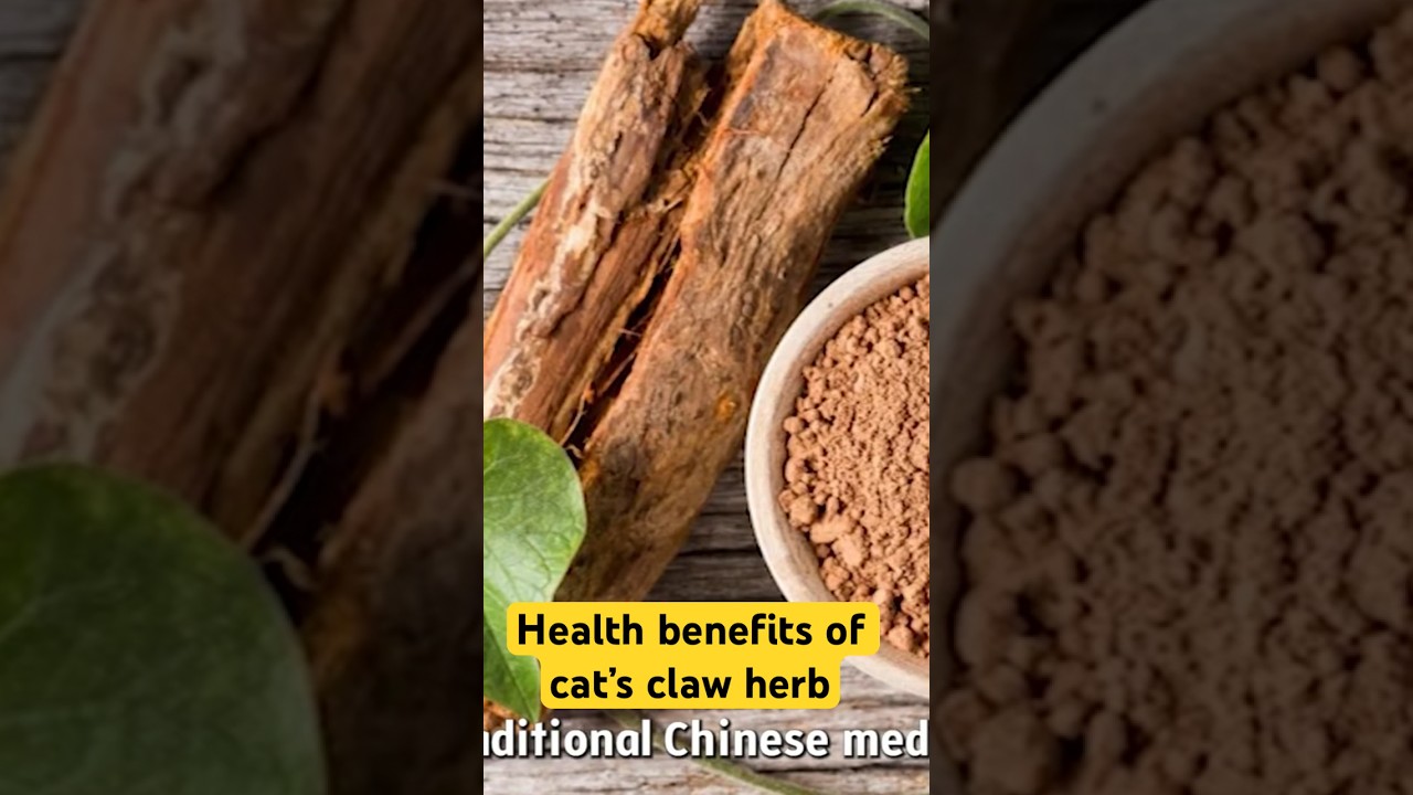 Health benefits of cat&rsquo;s claw herb #shorts