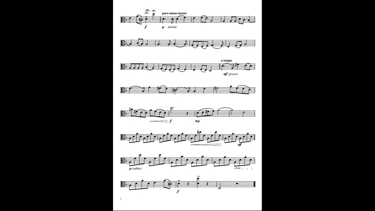 Polish Concertino - Viola