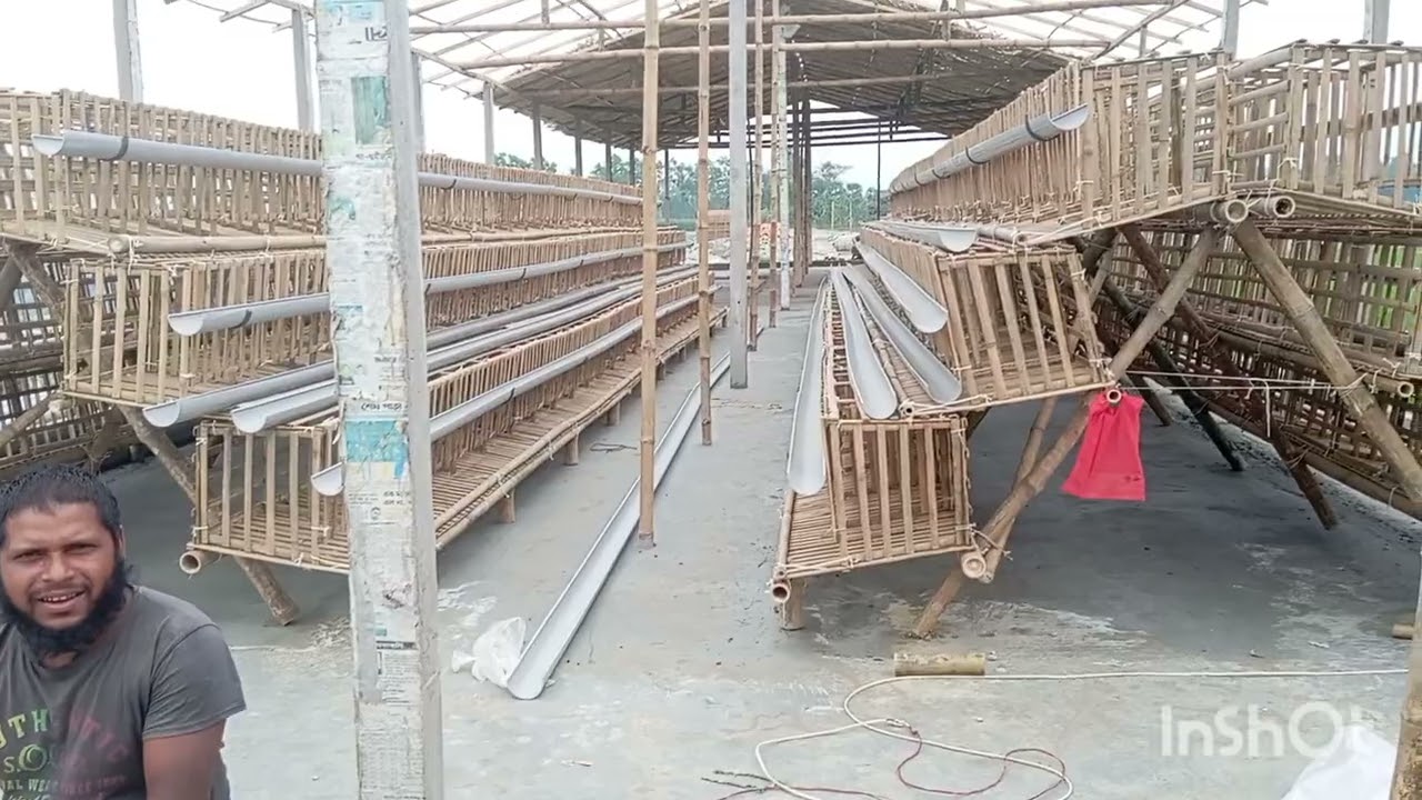 লেয়ার মুরগির 1000 এর জন্য কত ফিট ঘর লাগবে # বিস্তারিত জানতে 01730231863 leyer murgi @