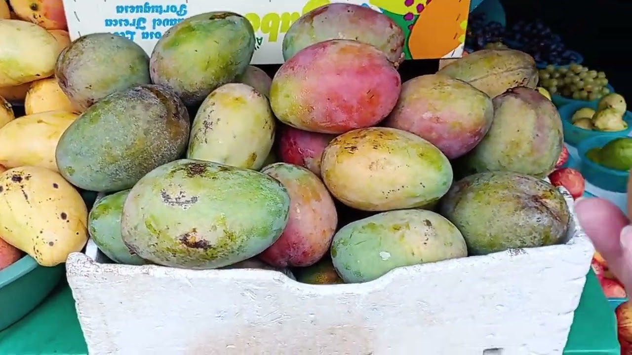 Saindo a procura de coisas pra o meu irmão 