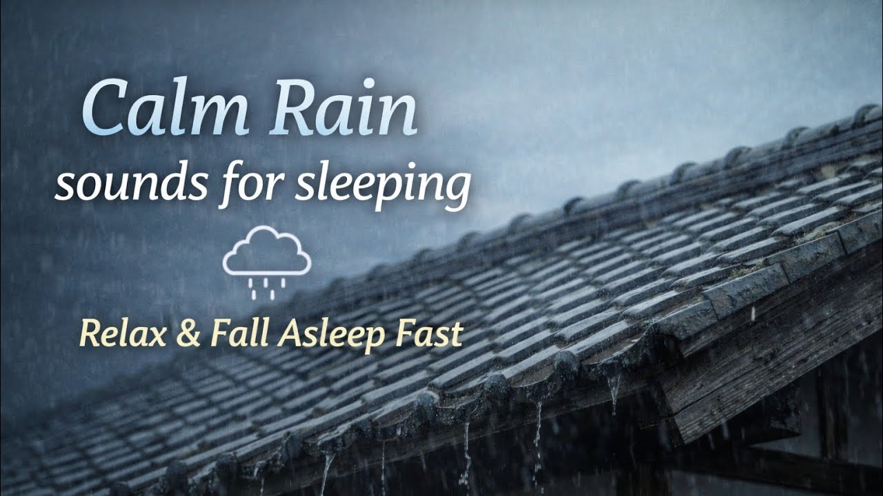 Calm Rain & Gentle Wind Sounds for Sleeping | Deep Relaxation, Stress Relief & Insomnia Aid