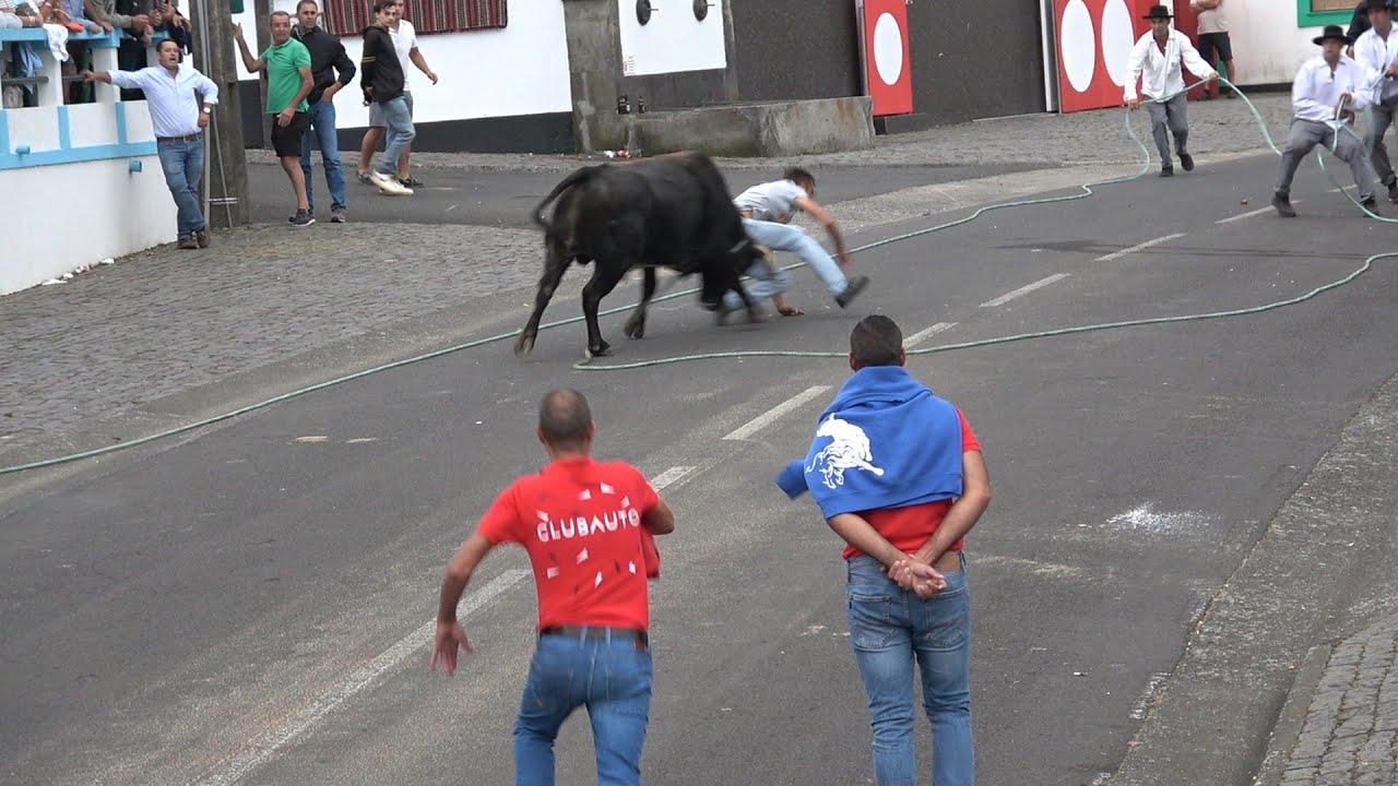 Tourada de ER e HF no Largo da Igreja da Serreta (2025-09-17)