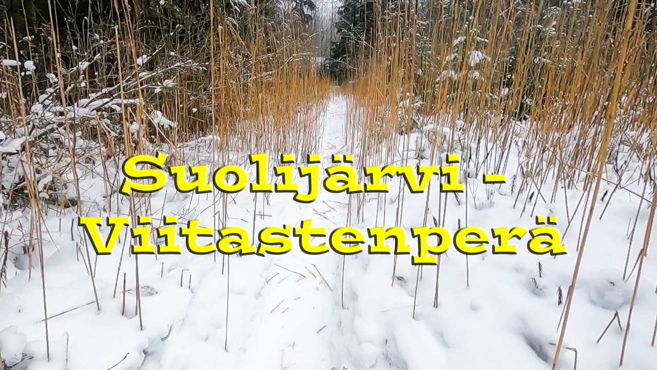 Tampereen Suolijärvellä, Hervatajärvellä ja Viitastenperällä
