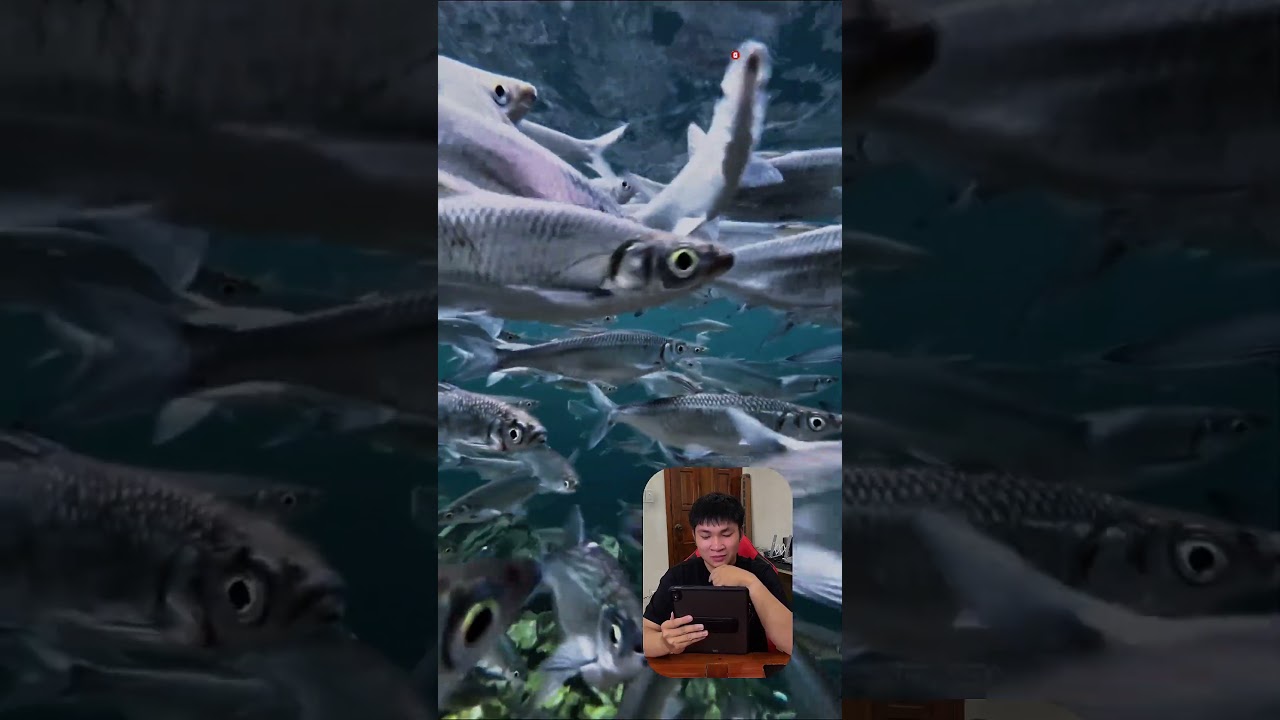 Dip 13pro into a lake full of fish 
