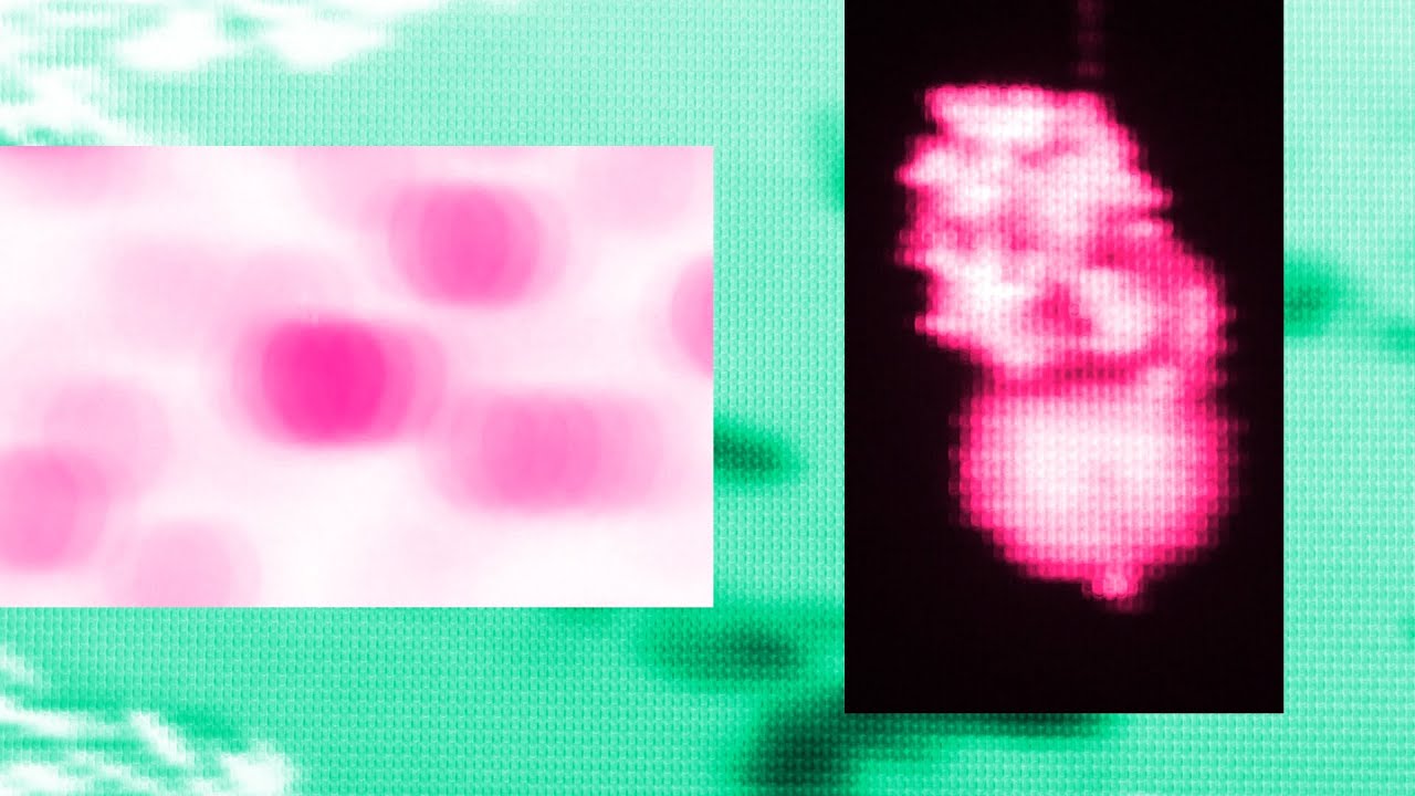filming CRT pixels is the future