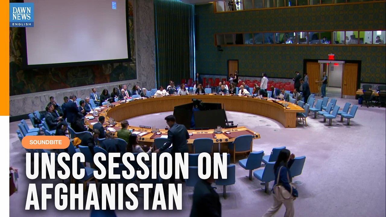 UNSC Session On Afghanistan: Pakistan Details Use Of Afghan Soil By Terrorists, Indian Objectives