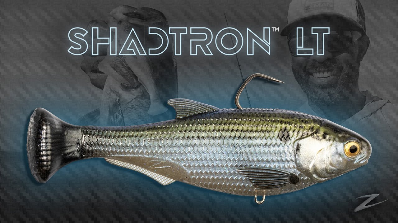SHADTRON LT in Depth