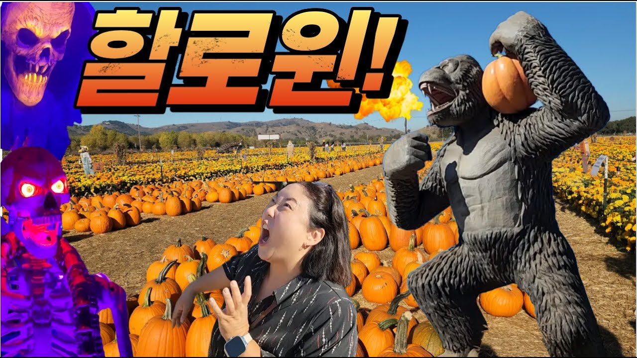 할로윈!!~~미국 산호세에서 맞이한 할로윈을 가족들과 함께 즐기며 미국문화에 대해 알게 되었네요~^^
