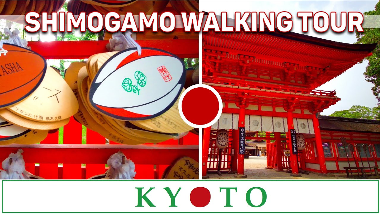 KYOTO, Shimogamo Shrine Walking Tour ⛩ + Kamo River and KAWAI Shrine ⛩♥⛩