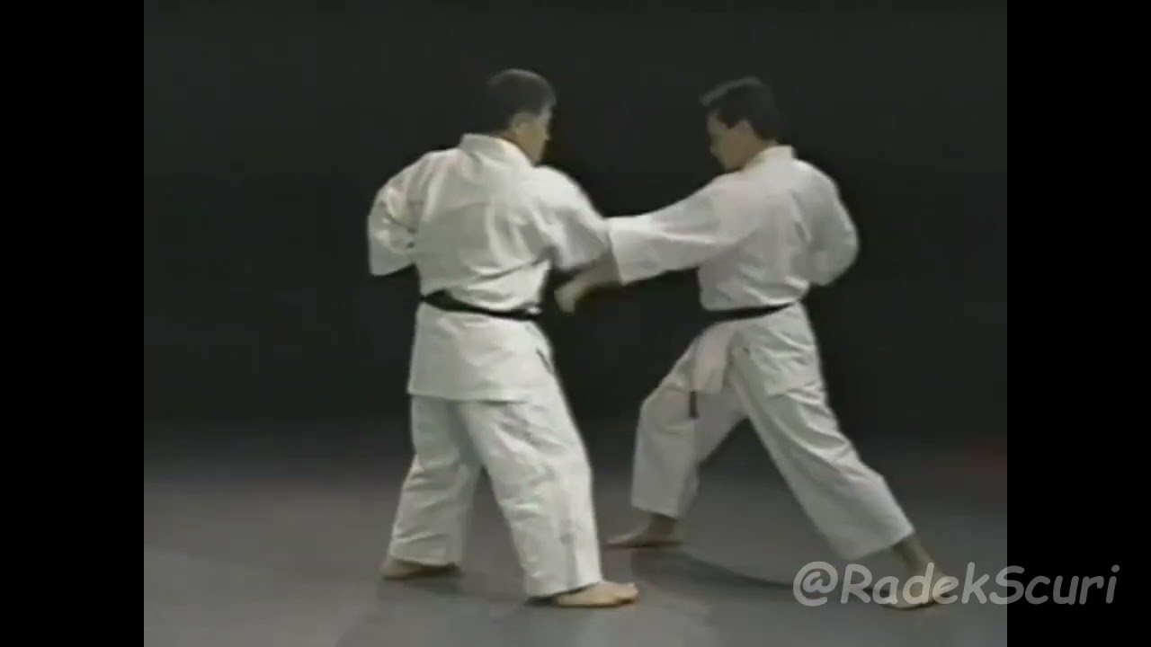 Gekisai Dai Ichi - Lecture on Kata and Bunkai _ Morio Higaonna 10. Dan Okinawa Goju-Ryu