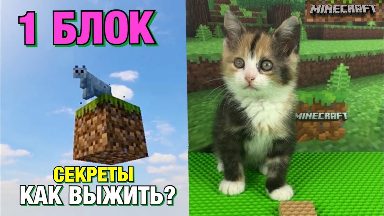 СЕКРЕТЫ ВЫЖИВАНИЯ НА 1 БЛОКЕ В МАЙНКРАФТ вместе с КОТЁНКОМ 🧩😱🏡
