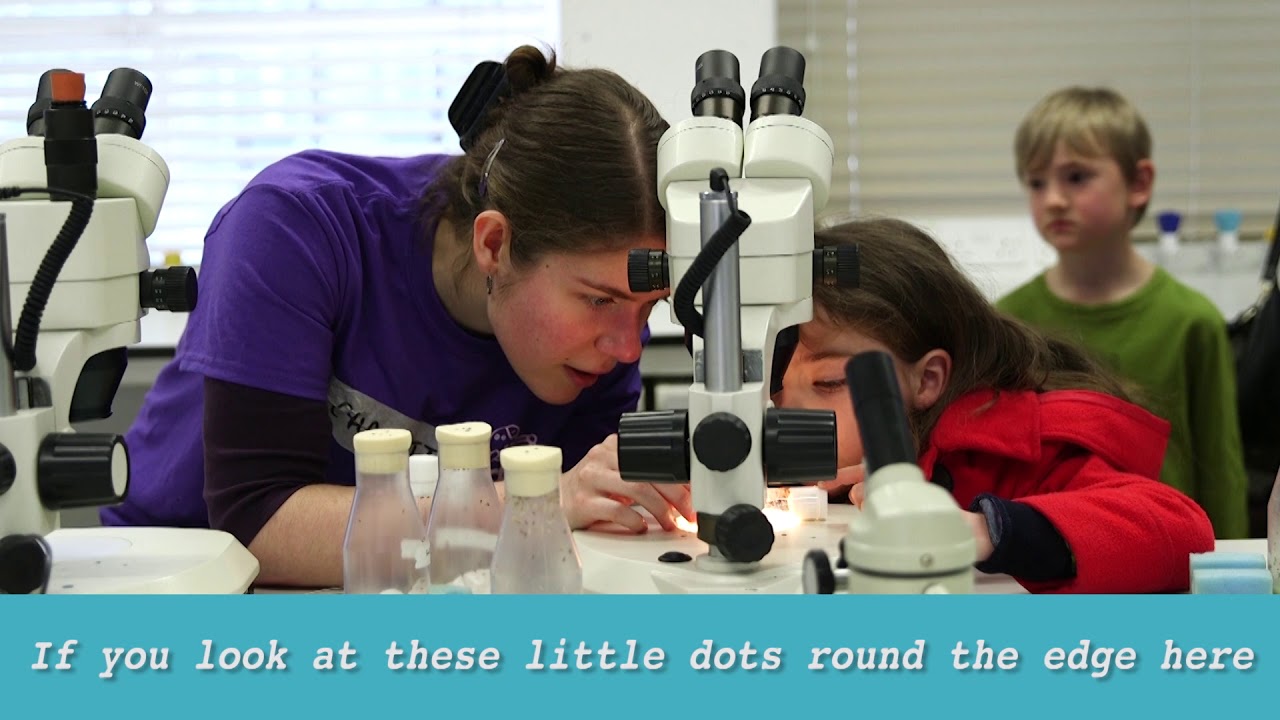 What is Cambridge Hands On Science (CHaOS)?