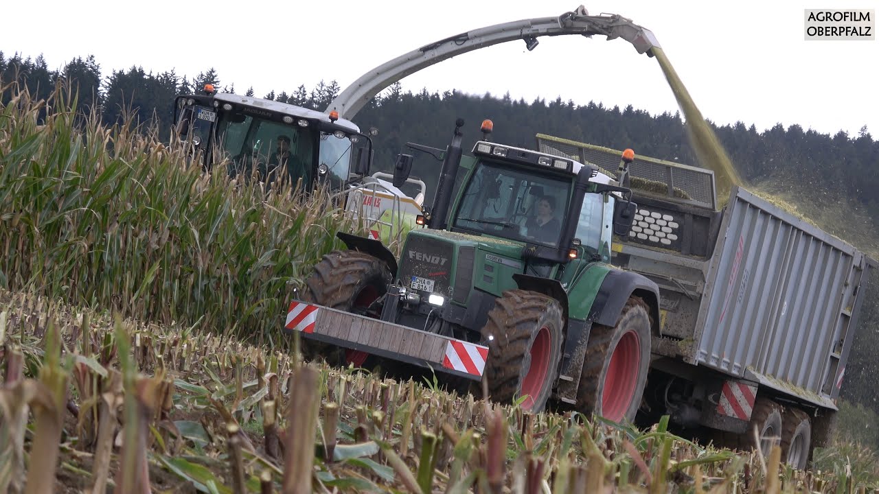 Back to Mais - Frauenpower im Fendt Favorit 816 - Claas Jaguar 870 - Maishäckseln mit LU Bücherl