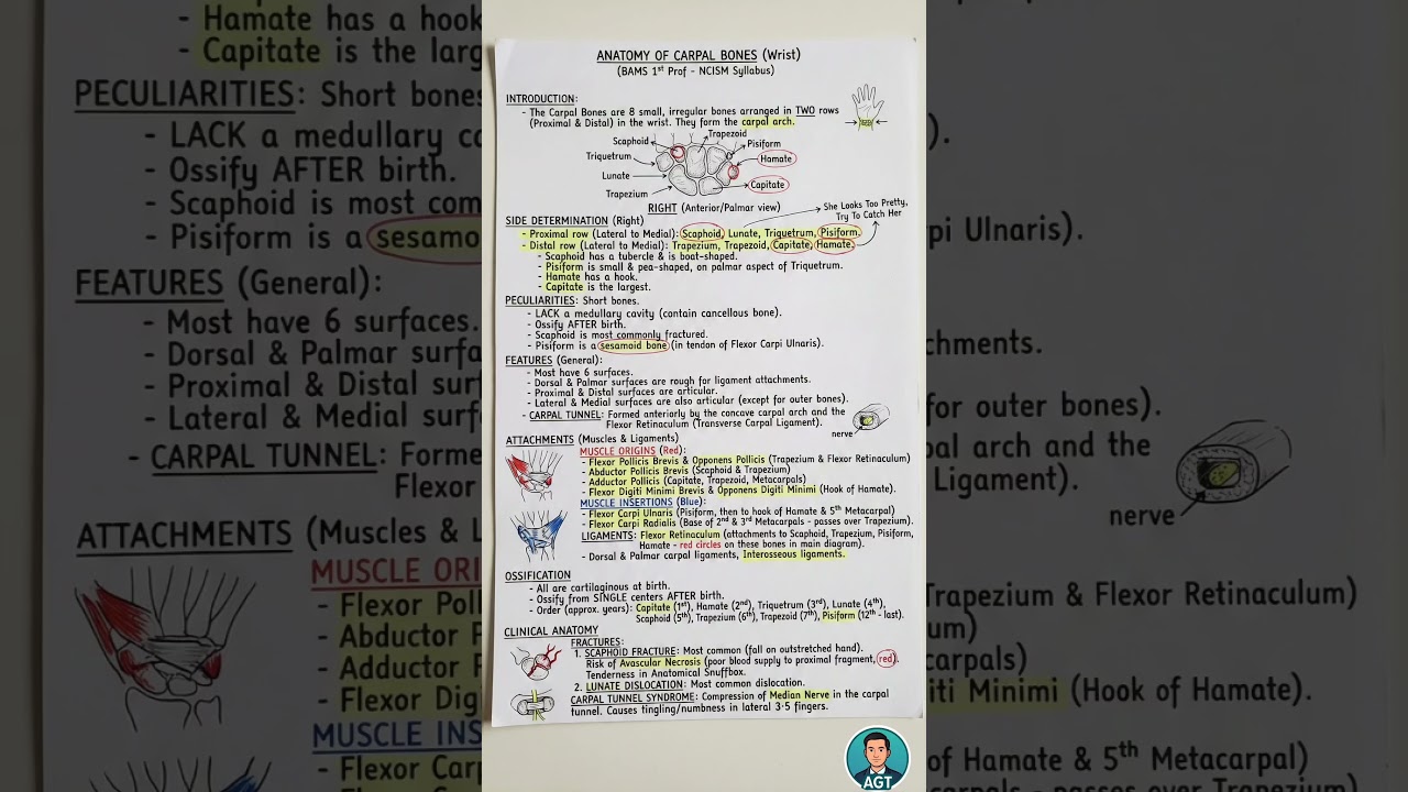 Carpals Bones Anatomy Notes in 1 Page| B.A.M.S. 1st Prof. | NCISM SYLLABUS| Aman Gupta Talks 📚🌿
