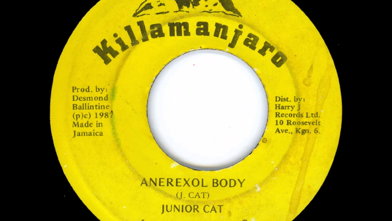 Junior Cat - Anerexol Body + Dub - 7
