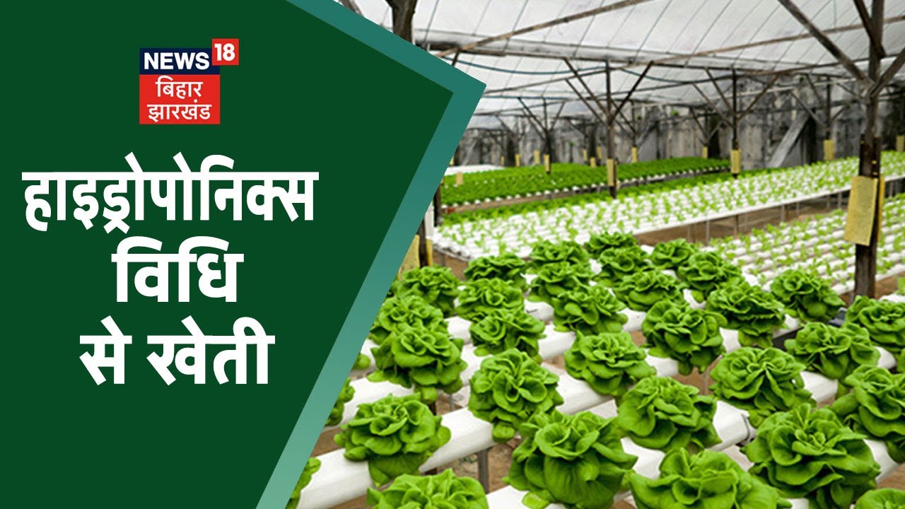 Hydroponic Farming | बिना मिट्टी के खेती करने की विधि को जानिए | Annadata