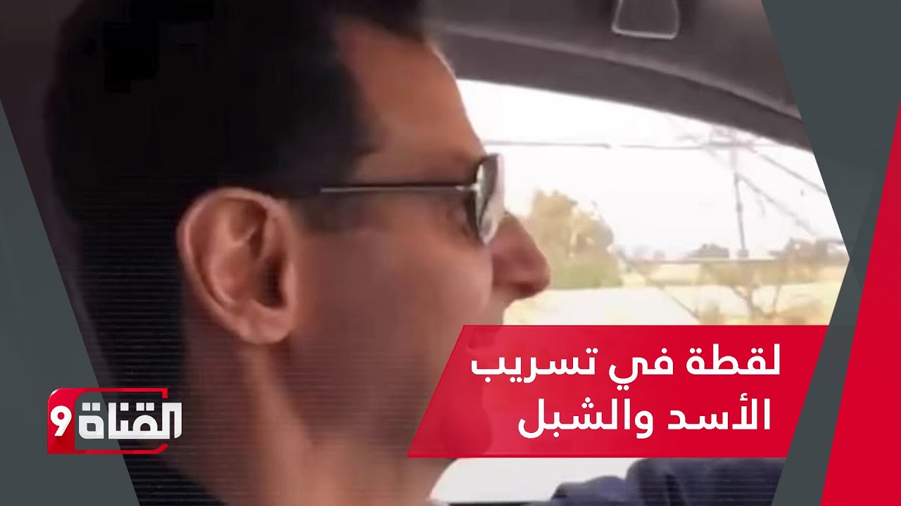 لقطة صـادمـة وعجيبة في تسريب بشار الأسد ولونا الشبل