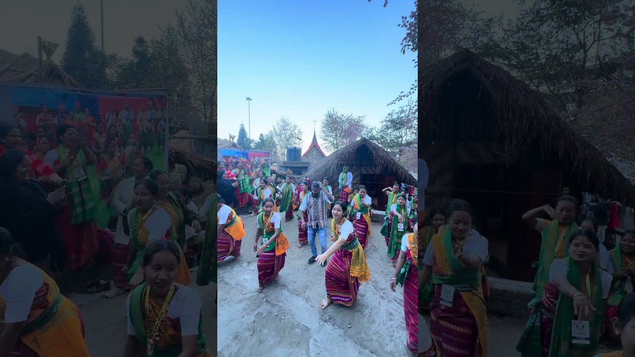 Boro Tribe  TRIBE FROM NAGALAND. HORNBILL FESTIVAL 2025 #dance #kachari  #folkdance#culture