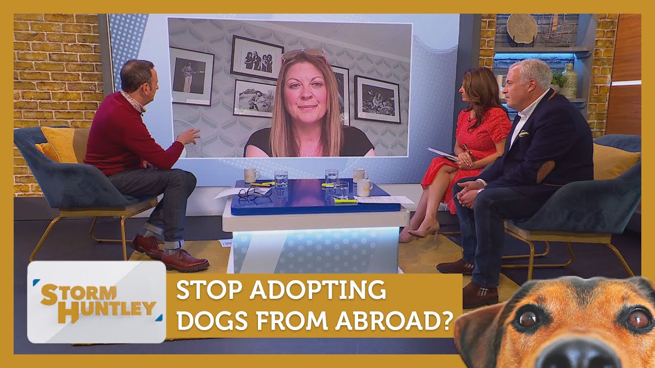 Stop adopting dogs from abroad? Feat. Jemma Forte & James Max | Storm Huntley