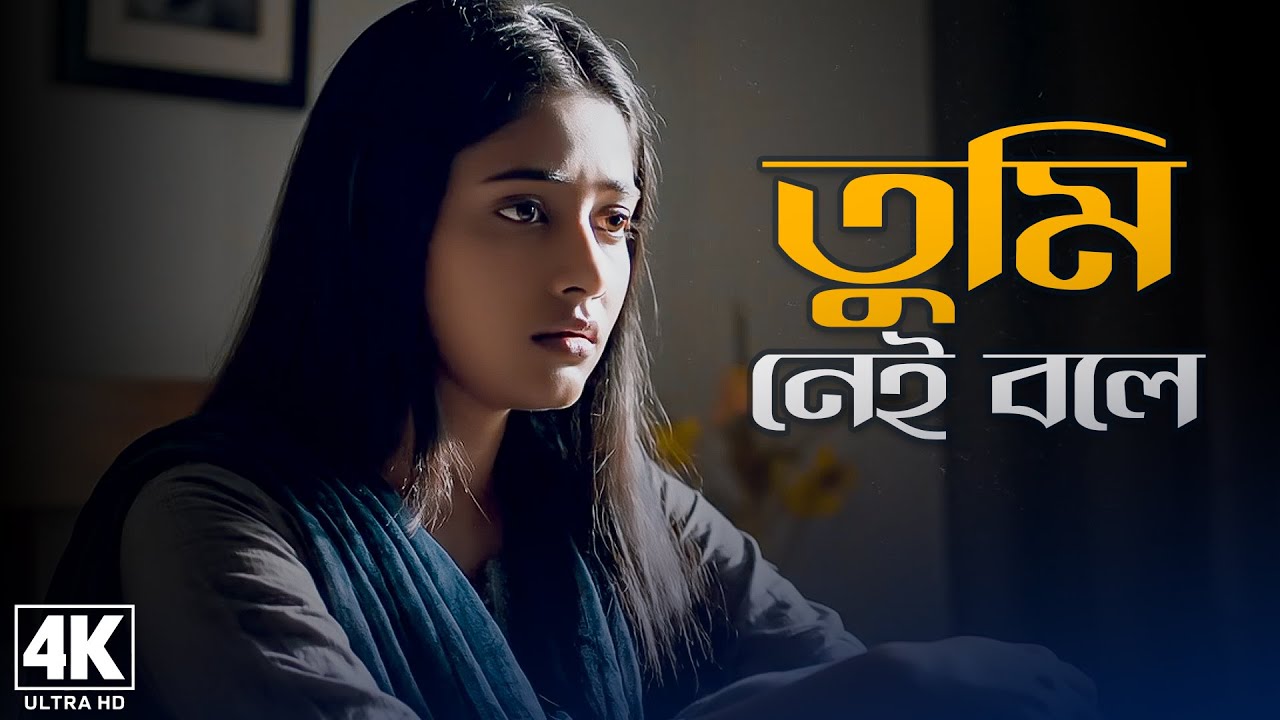 তুমি নেই বলে 💔 Tumi Nei Bole | Bangla Sad Song 2025 | হৃদয় ভাঙা কষ্টের গান | Brothers OTT