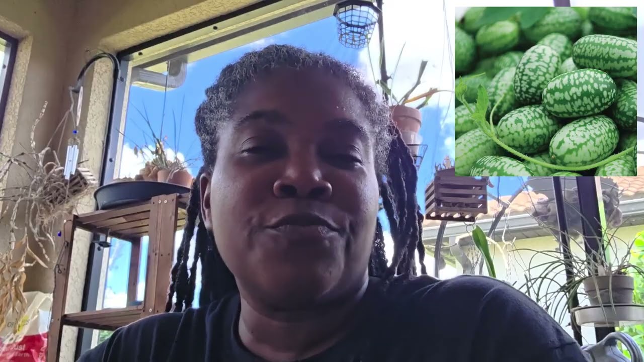 Seed Haul: Park Seed