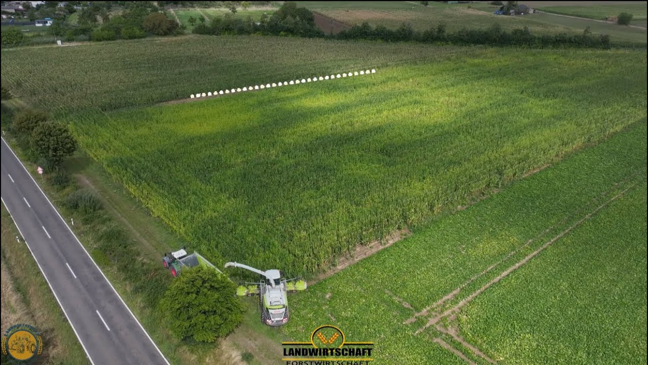 Hier sieht man welcher Mais Dünger & Gespritzt wurde! Maisernte mit LU VON MEER Jaguar 980 Fendt 620