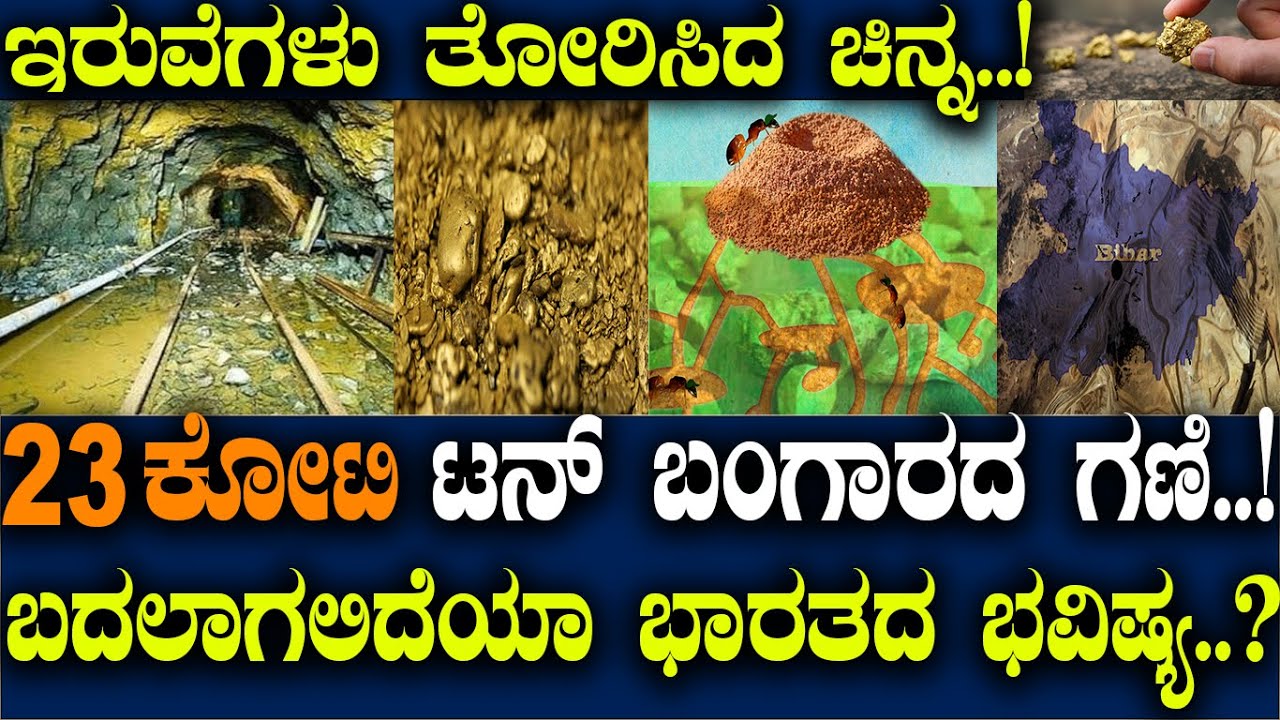 ಇರುವೆಗಳು ತೋರಿಸಿದ್ದು 23ಕೋಟಿ ಟನ್ ಚಿನ್ನದ ನಿಕ್ಷೇಪ.! ಗಣಿಯಿಂದ ಬದಲಾಗುತ್ತ ಭಾರತದ ಭವಿಷ್ಯ.? Do Ants Mine Gold.?